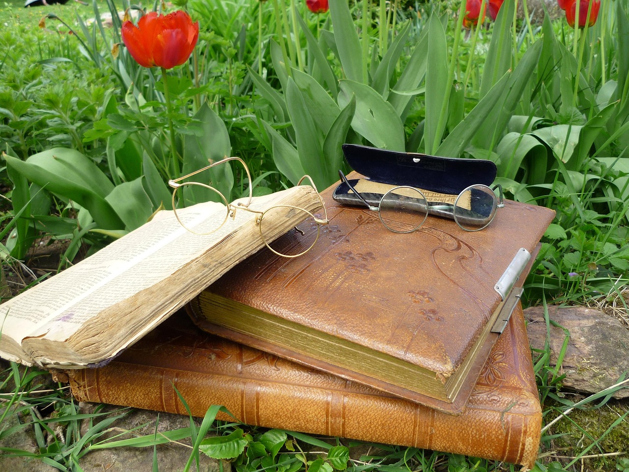 glasses, glasses case, photo album, photo albums, a book, quiet, silence, read, art nouveau, antique, photo album, photo album, photo album, photo album, photo album, a book, art nouveau